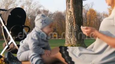 年轻的母亲坐在草地上，和她的小<strong>宝宝</strong>聊天玩耍。拍手。<strong>阳光</strong>。
